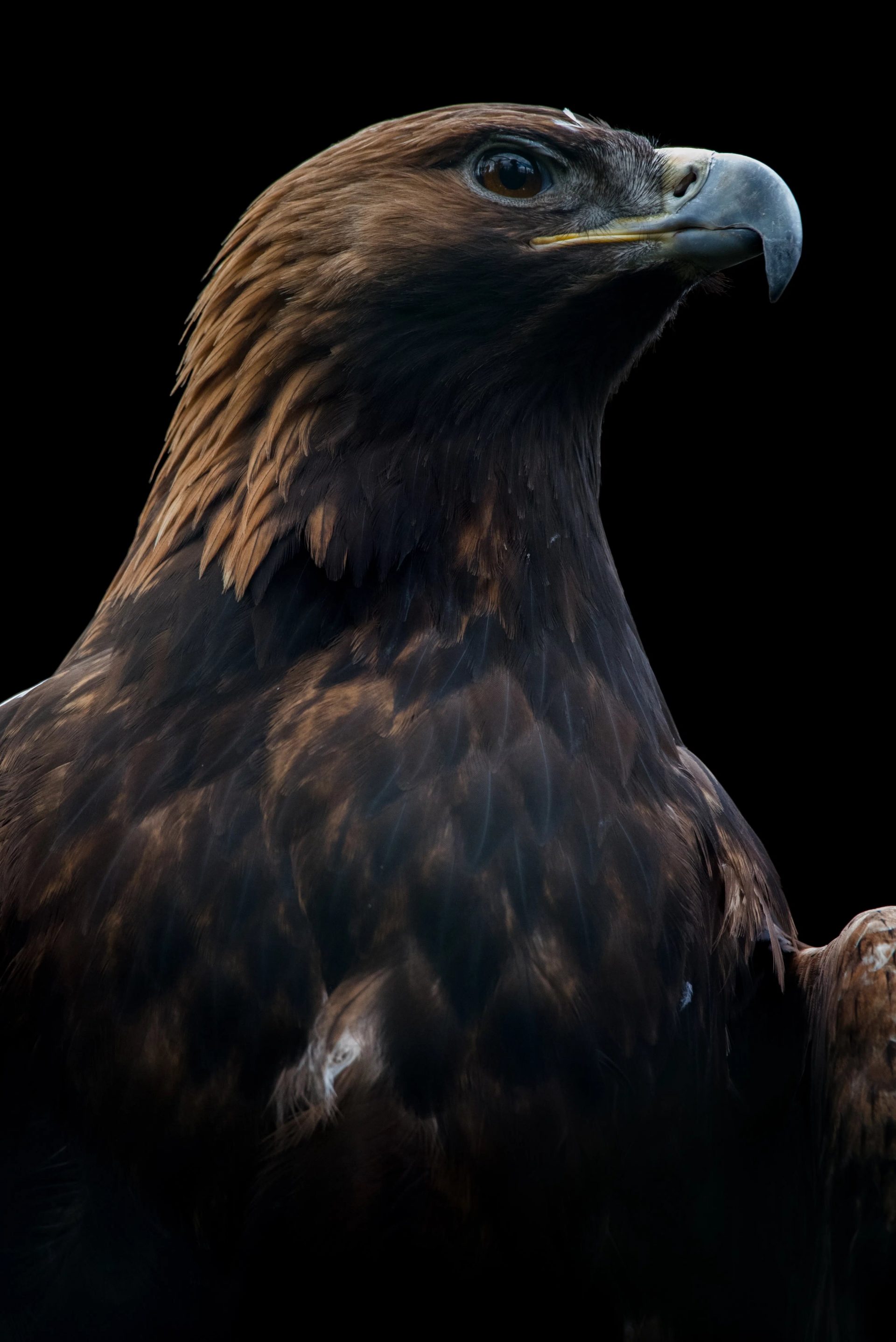 Image default